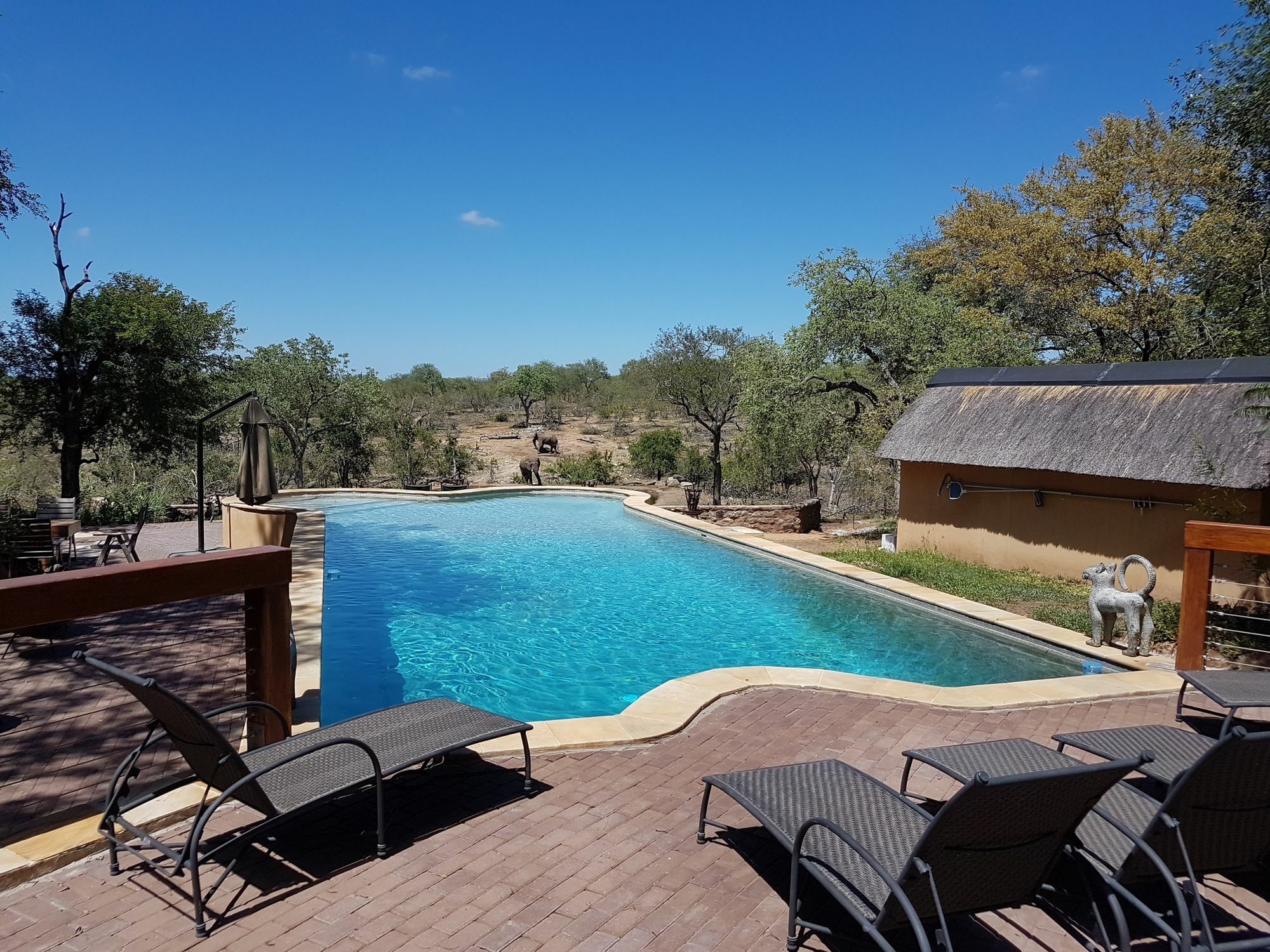 Nyati Safari Lodge Hoedspruit Exterior foto
